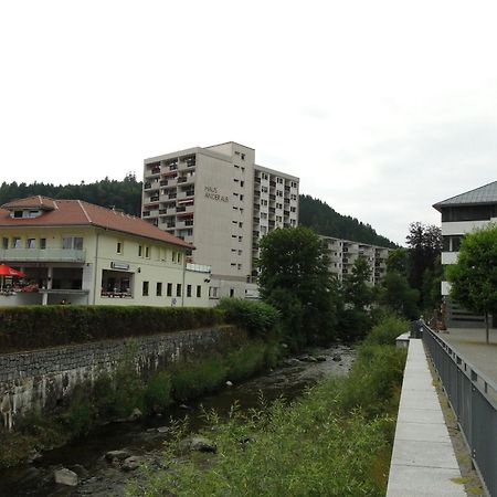 Alb Studio St. Blasien Exterior foto