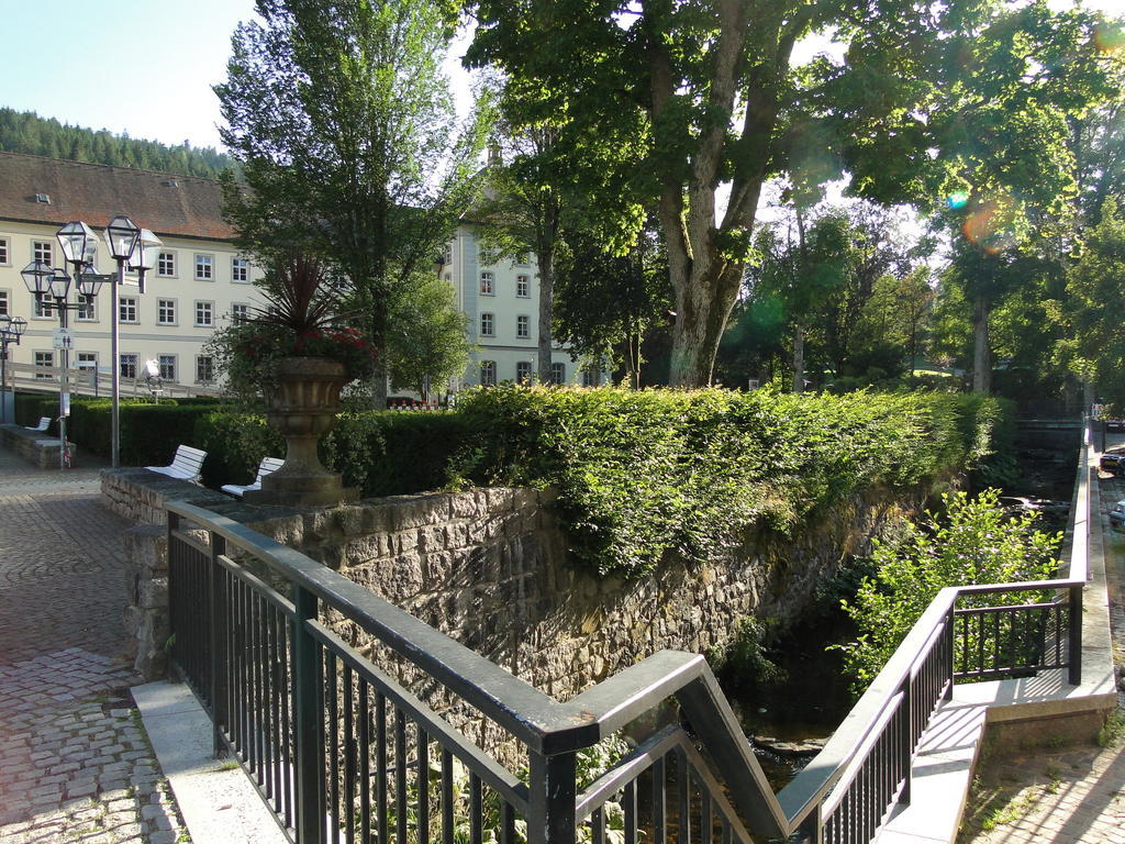 Alb Studio St. Blasien Exterior foto