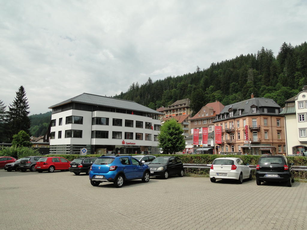 Alb Studio St. Blasien Exterior foto