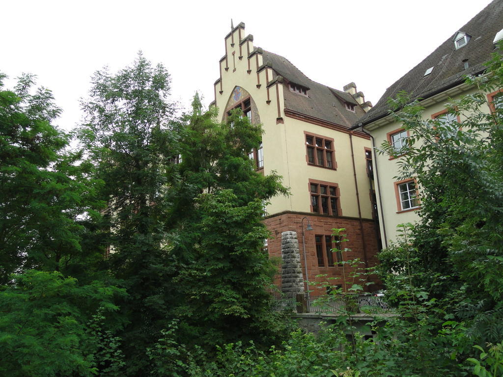Alb Studio St. Blasien Exterior foto